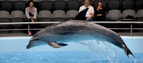 Delfinariy - Sputnik O‘zbekiston