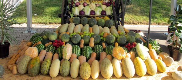 Buyu Ipak Yo‘lida Turizm - Sputnik O‘zbekiston