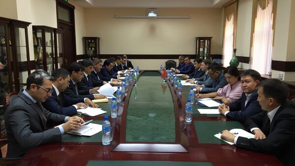 Встреча представителей Министерства экономики Кыргызстана и Министерства внешней торговли Узбекистана - Sputnik Узбекистан