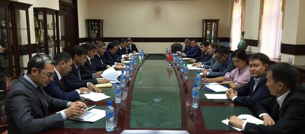 Встреча представителей Министерства экономики Кыргызстана и Министерства внешней торговли Узбекистана - Sputnik Узбекистан
