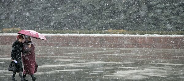 Биринчи қор Биринчи қор - Sputnik Ўзбекистон