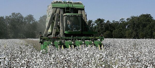 Хлопкоуборочная машина Хлопкоуборочная машина - Sputnik Узбекистан