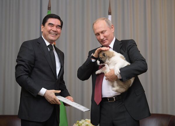 Лидер Туркменистана Гурабангулы Бердымухамедов подарил президенту России щенка алабая на встрече в Сочи в рамках саммита глав стран СНГ - Sputnik Узбекистан