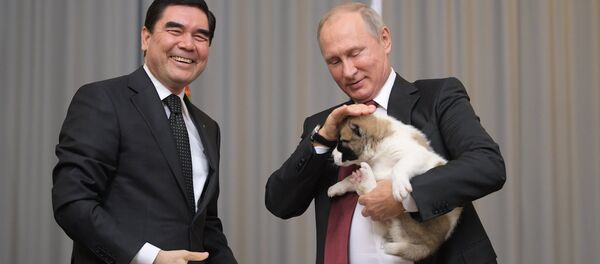 Президент РФ В. Путин встретился с президентом Туркмении Г. Бердымухамедовым Президент РФ В. Путин встретился с президентом Туркмении Г. Бердымухамедовым - Sputnik Ўзбекистон