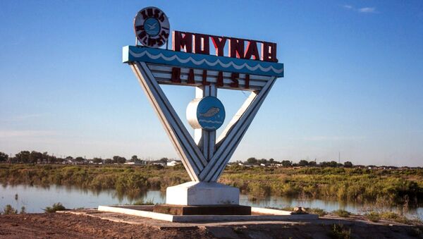 Въезд в город Муйнак - Sputnik Узбекистан