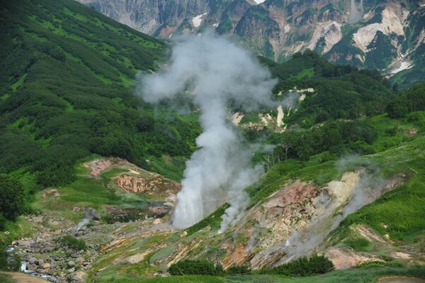 Извержение гейзера Великан в Долине Гейзеров в Кроноцком государственном природном биосферном заповеднике на Камчатке - Sputnik Узбекистан
