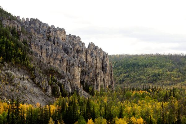 Национальный природный парк Ленские столбы в Якутии - Sputnik Узбекистан