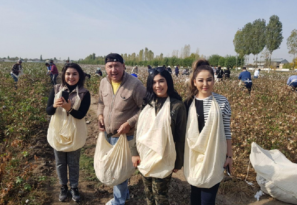 Звезды Узбекистана на сборе хлопка Звезды Узбекистана на сборе хлопка - Sputnik Узбекистан