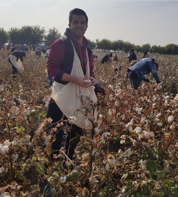 Звезды Узбекистана на сборе хлопка Звезды Узбекистана на сборе хлопка - Sputnik Узбекистан