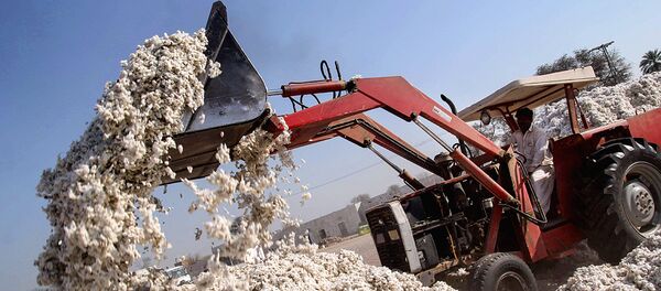 Уборка хлопка - Sputnik Узбекистан