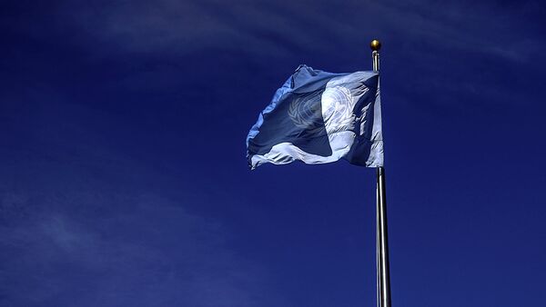 Флаг ООН - Sputnik Ўзбекистон