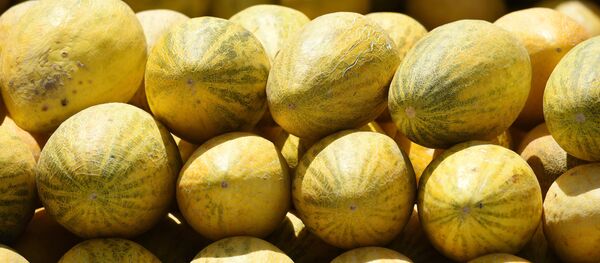 Дыни на прилавке Дыни на прилавке - Sputnik Ўзбекистон