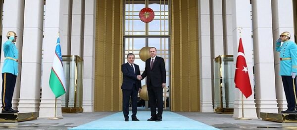 Глава Узбекистана Шавкат Мирзиёев и президент Турции Реджеп Эрдоган Глава Узбекистана Шавкат Мирзиёев и президент Турции Реджеп Эрдоган - Sputnik Ўзбекистон