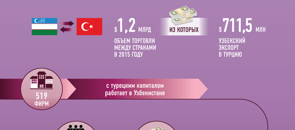 Узбекско-турецкие отношения: политика, экономика и гуманитарная сфера - Sputnik Узбекистан