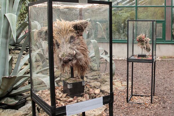 Выставка скульптур диких животных под угрозой исчезновения Последний след - Sputnik Узбекистан
