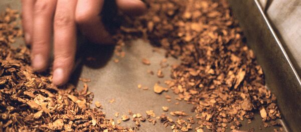 Dobicha zolota - Sputnik O‘zbekiston