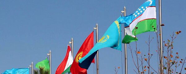 Флаги стран-участниц конференции по обеспечению безопасности и устойчивого развития в Центральной Азии Флаги стран-участниц конференции по обеспечению безопасности и устойчивого развития в Центральной Азии - Sputnik Ўзбекистон