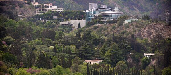 Вид на территорию тбилисского Ботанического сада и деловой центр бизнесмена Бидзины Иванишвили (вверху справа). - Sputnik Узбекистан
