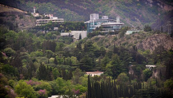 Вид на территорию тбилисского Ботанического сада и деловой центр бизнесмена Бидзины Иванишвили (вверху справа). - Sputnik Узбекистан
