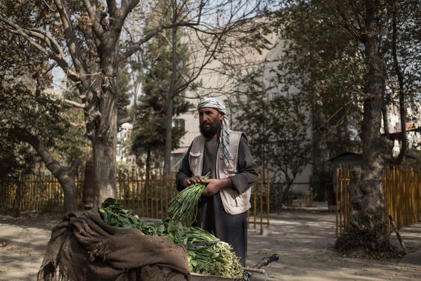 Мужчина продает зелень во дворе дома одного из районов Кабула - Sputnik Узбекистан