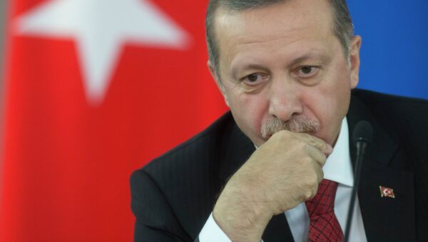 Turkiya prezidenti Rajab Toyib Erdo‘g‘an - Sputnik O‘zbekiston