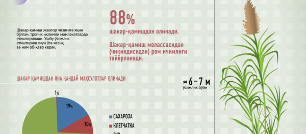 Шакар - Sputnik Ўзбекистон