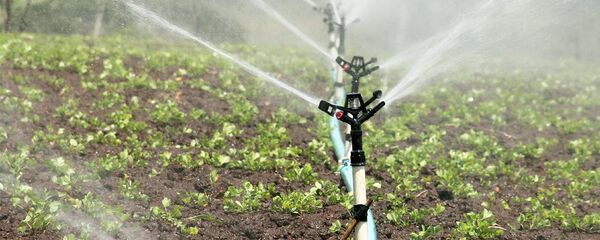 Орошение земли Орошение земли - Sputnik Ўзбекистон