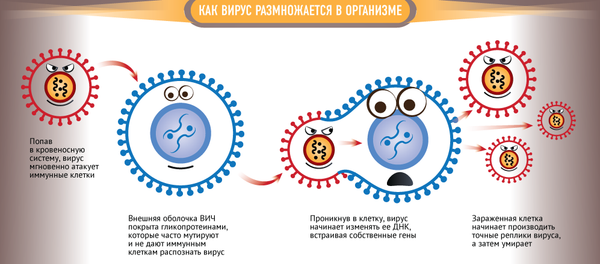 Что необходимо знать о СПИДе Что необходимо знать о СПИДе - Sputnik Узбекистан