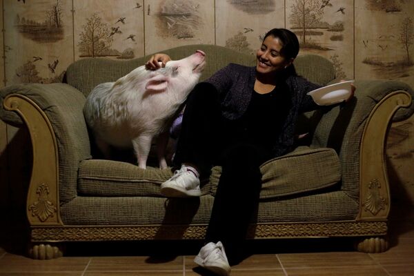 Yissel Mendoza и ее свинья по кличке Balu у себя дома в городе Сьюдад-Хуарес, Мексика - Sputnik Узбекистан