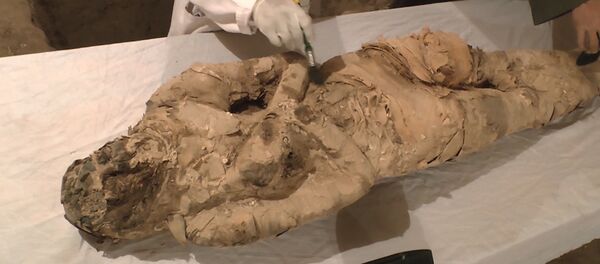 В египетском Луксоре нашли мумию В египетском Луксоре нашли мумию - Sputnik Узбекистан