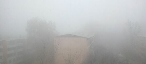 Ташкент накрыл густой туман Ташкент накрыл густой туман - Sputnik Ўзбекистон