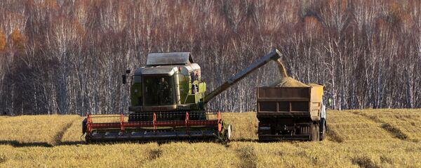 Уборка урожая зерновых Уборка урожая зерновых - Sputnik Ўзбекистон