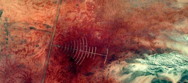 Силуэт елки из космоса - Sputnik Узбекистан