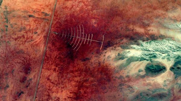 Силуэт елки из космоса - Sputnik Узбекистан