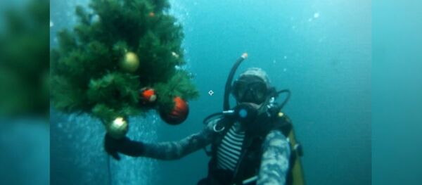 Дайверы погрузили новогоднюю елку под воду Голубого озера - Sputnik Ўзбекистон