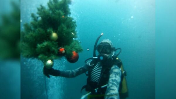 Дайверы погрузили новогоднюю елку под воду Голубого озера - Sputnik Ўзбекистон