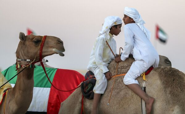 Два ребенка на фестивале верблюдов Аль-Дафра в ОАЭ - Sputnik Узбекистан