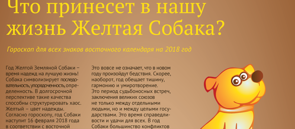 Что принесет в нашу жизнь желтая собака - Sputnik Узбекистан