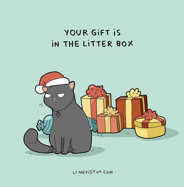 Твой подарок в моем лотке - Sputnik Узбекистан