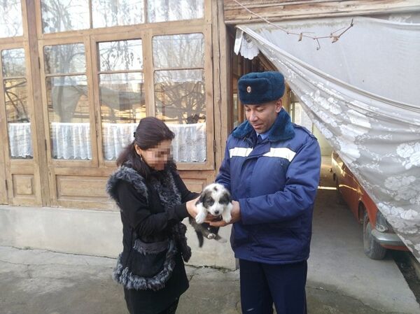 Узбекские спасатели вытащили щенка из моторного отсека автомобиля Узбекские спасатели вытащили щенка из моторного отсека автомобиля - Sputnik Узбекистан