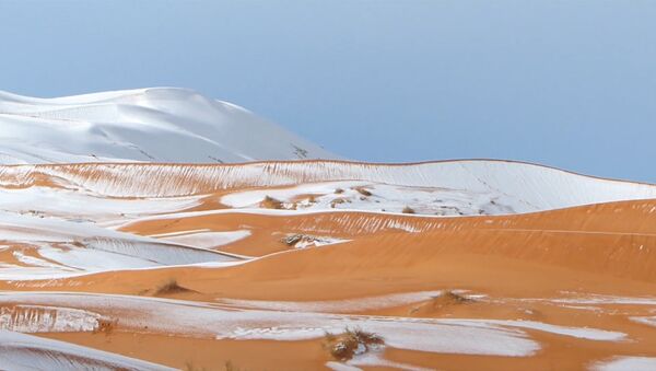 В пустыне Сахара второй год подряд выпал снег - Sputnik Узбекистан