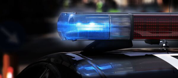 Работа американской полиции Работа американской полиции - Sputnik Ўзбекистон