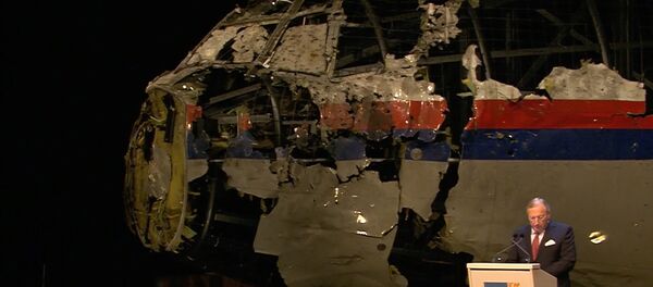 Доклады комиссий РФ и Голландии об итогах расследования гибели МН-17 Доклады комиссий РФ и Голландии об итогах расследования гибели МН-17 - Sputnik Узбекистан