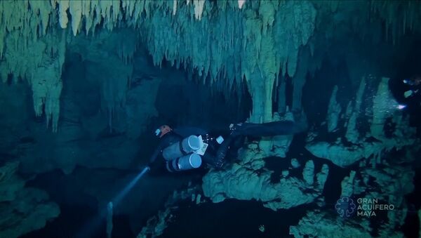 Самую большую на планете подводную пещеру нашли в Мексике - Sputnik Узбекистан