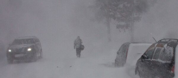Метель на автомобильной дороге - Sputnik Ўзбекистон