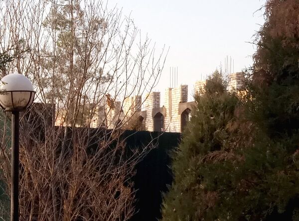 Строительство Кауфманского приюта - Sputnik Ўзбекистон