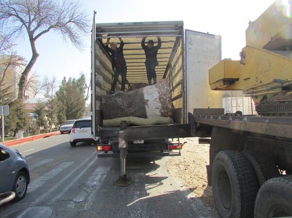 Вырубка вековых деревьев в Самарканде Вырубка вековых деревьев в Самарканде - Sputnik Ўзбекистон