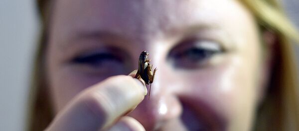 Девушка с насекомым в руке - Sputnik Узбекистан