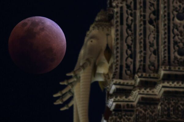 Кровавая Луна в Бангкоке - Sputnik Узбекистан