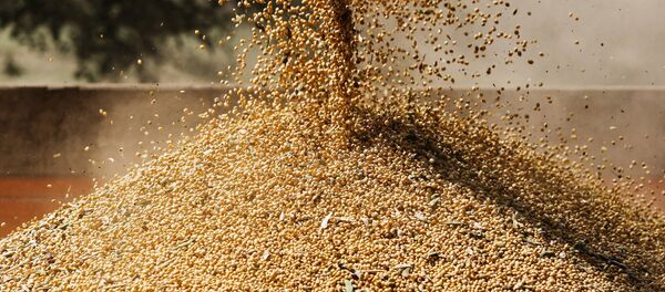 Уборка урожая сои Уборка урожая сои - Sputnik Узбекистан